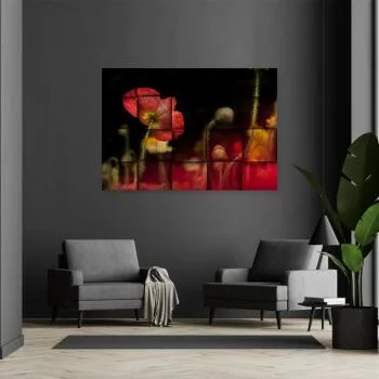 Obraz Deco Panel, Czerwony kwiat maku 
