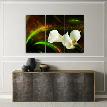 Obraz trzyczęściowy na płótnie, White flower on brown background