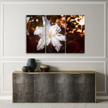 Obraz trzyczęściowy Deco Panel, Biała lilia na brązowym tle