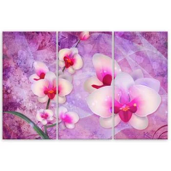 Obraz trzyczęściowy na płótnie, Orchidea Kwiaty Abstrakcja - obrazek 3