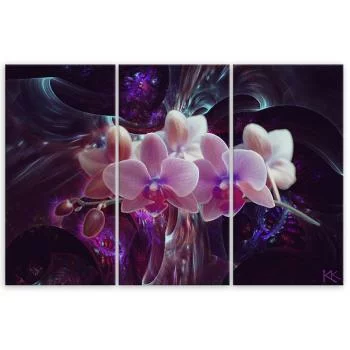 Obraz trzyczęściowy Deco Panel, Biała orchidea na ciemnym tle - obrazek 3