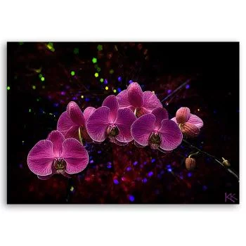 Obraz Deco Panel, Orchidea na ciemnym tle - obrazek 3