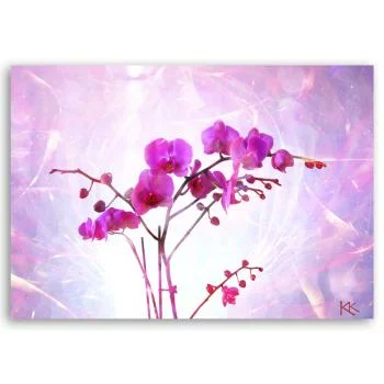 Obraz Deco Panel, Eteryczna orchidea - obrazek 3