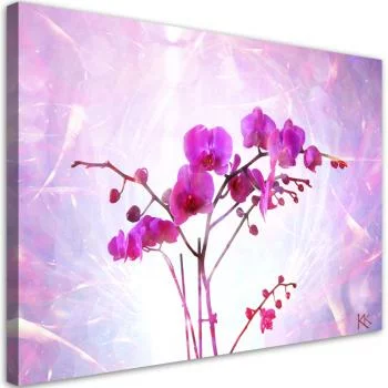 Obraz na płótnie, Eteryczna orchidea - obrazek 2