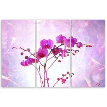 Obraz trzyczęściowy na płótnie, Eteryczna orchidea - obrazek 3
