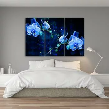 Obraz trzyczęściowy Deco Panel, Niebieski kwiat orchidei