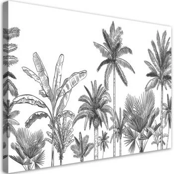Obraz na płótnie, Czarno białe palmy - obrazek 2