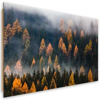 Obraz Deco Panel, Jesienny krajobraz drzew - obrazek 2