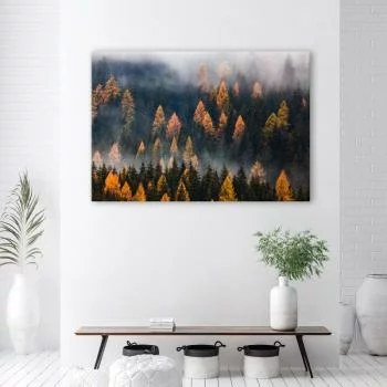Obraz Deco Panel, Jesienny krajobraz drzew