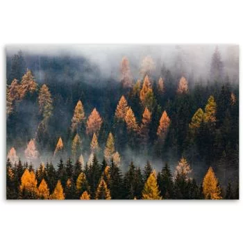 Obraz Deco Panel, Jesienny krajobraz drzew - obrazek 3