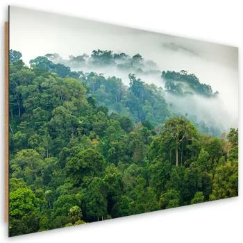 Obraz Deco Panel, Las we mgle  - obrazek 2
