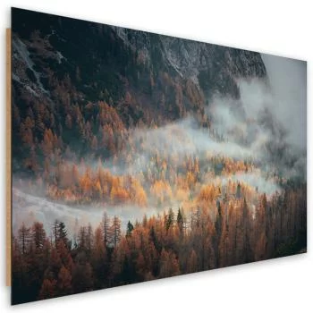 Obraz Deco Panel, Las we mgle  - obrazek 2