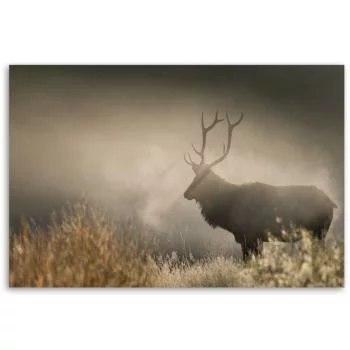 Obraz na płótnie, Jeleń we mgle natura - obrazek 3