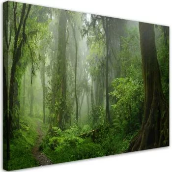 Obraz na płótnie, Tropikalny las dżungla - obrazek 2