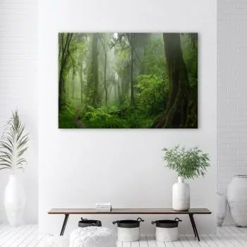 Obraz na płótnie, Tropikalny las dżungla