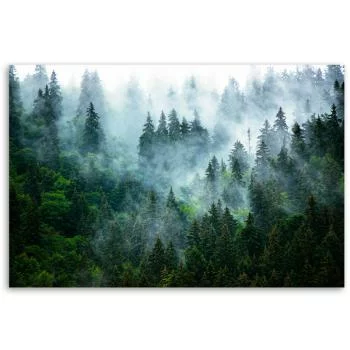 Obraz Deco Panel, Las we mgle  - obrazek 3