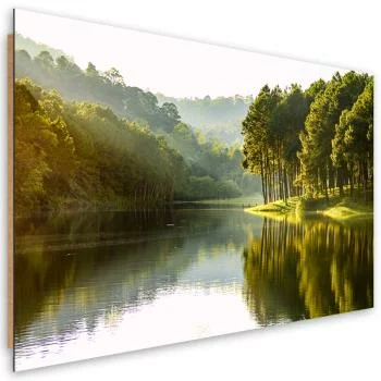 Obraz Deco Panel, Krajobraz las drzewa natura - obrazek 2