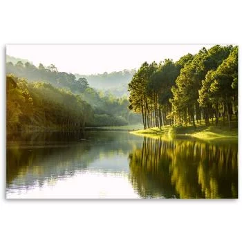 Obraz Deco Panel, Krajobraz las drzewa natura - obrazek 3