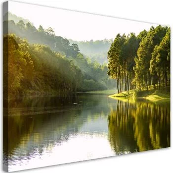 Obraz na płótnie, Krajobraz las drzewa natura - obrazek 2