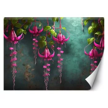 Fototapeta, Zwisające kwiaty wisteria