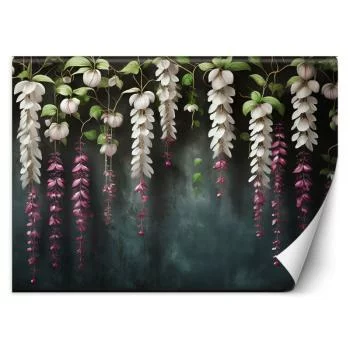 Fototapeta, Zwisające kwiaty wisteria