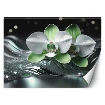 Fototapeta, Abstrakcja orchidei