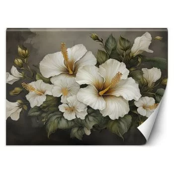 Fototapeta, Biały kwiat hibiskusa