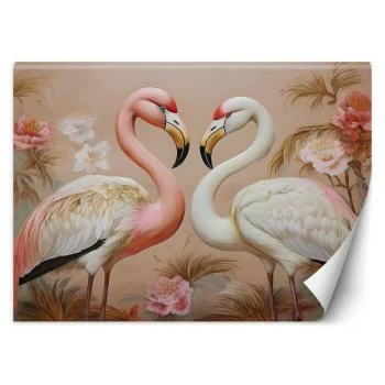 Fototapeta, Flamingi Zwierzęta Miłość