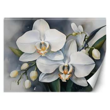Fototapeta, Kwiat orchidei Abstrakcja