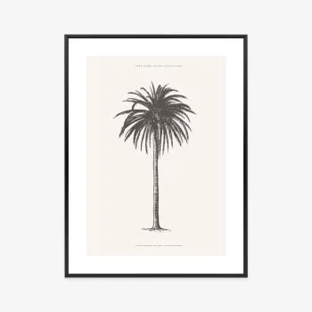 Plakat w ramie - ilustracja szarej palmy vintage - obrazek 3