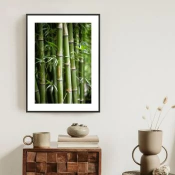 Plakat w ramie - las bambusowy z bliska