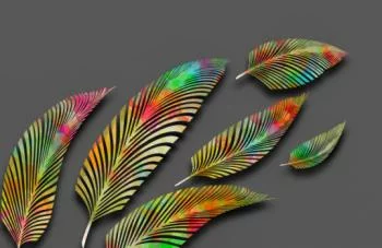 Fototapeta - kolorowe pióra