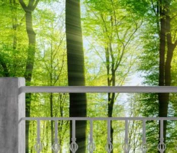 Fototapeta 3D - słońce wśród drzew