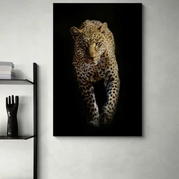 Obraz - leopard wychodzący z cienia