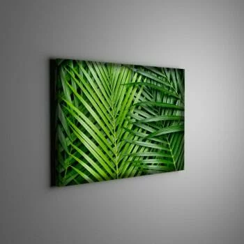 Obraz podświetlany LED - liście palmy