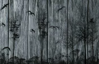 Fototapeta drzewa i ptaki
