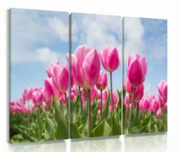 Obraz różowe tulipany