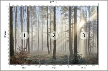 Fototapeta Las We Mgle - obrazek 3
