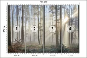 Fototapeta Las We Mgle - obrazek 3