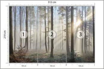 Fototapeta Las We Mgle - obrazek 3