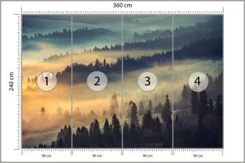 Fototapeta Las We Mgle - obrazek 3