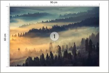 Fototapeta Las We Mgle - obrazek 3
