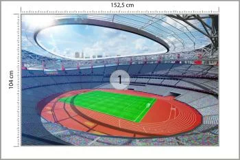 Fototapeta Stadion Piłka Nożna - obrazek 3