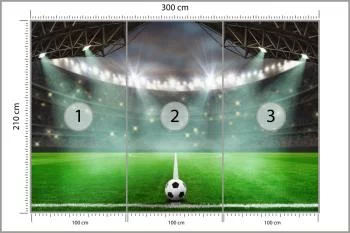 Fototapeta Piłka Nożna Stadion - obrazek 3