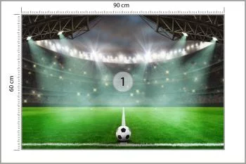 Fototapeta Piłka Nożna Stadion - obrazek 3