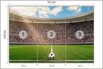 Fototapeta Piłka Nożna Stadion - obrazek 3