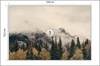 Fototapeta - Mglisty Górski Krajobraz z Lasem - obrazek 3
