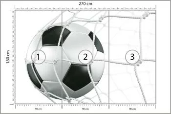 Fototapeta 3D Piłka W Siatce - obrazek 3