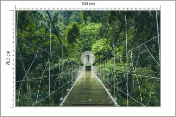 Fototapeta Most Wiszący - obrazek 3