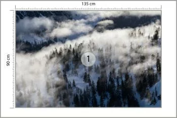 Fototapeta Las We Mgle - obrazek 3